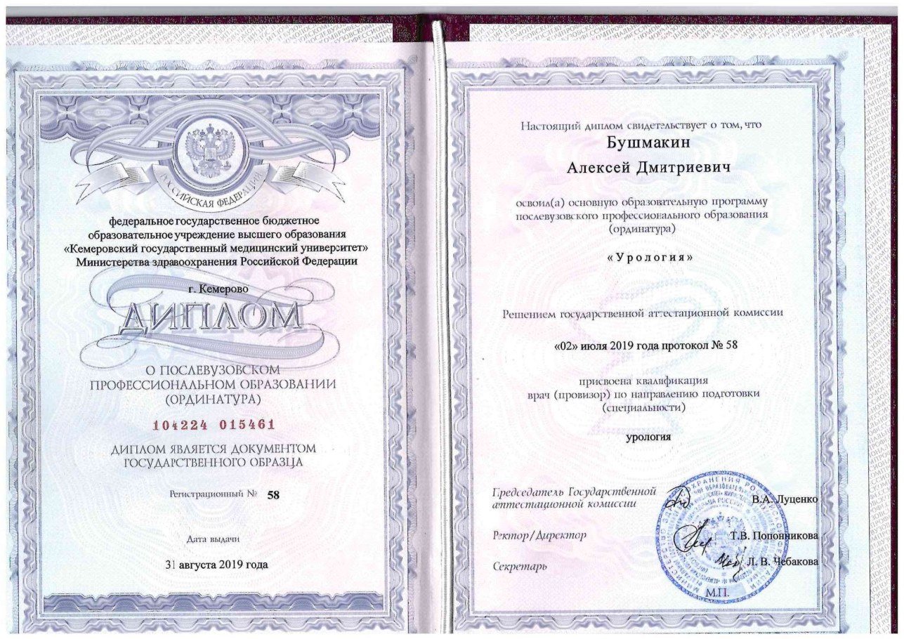 Диплом / сертификат