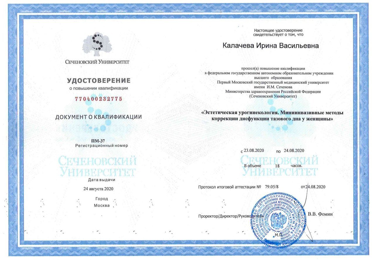 Диплом / сертификат