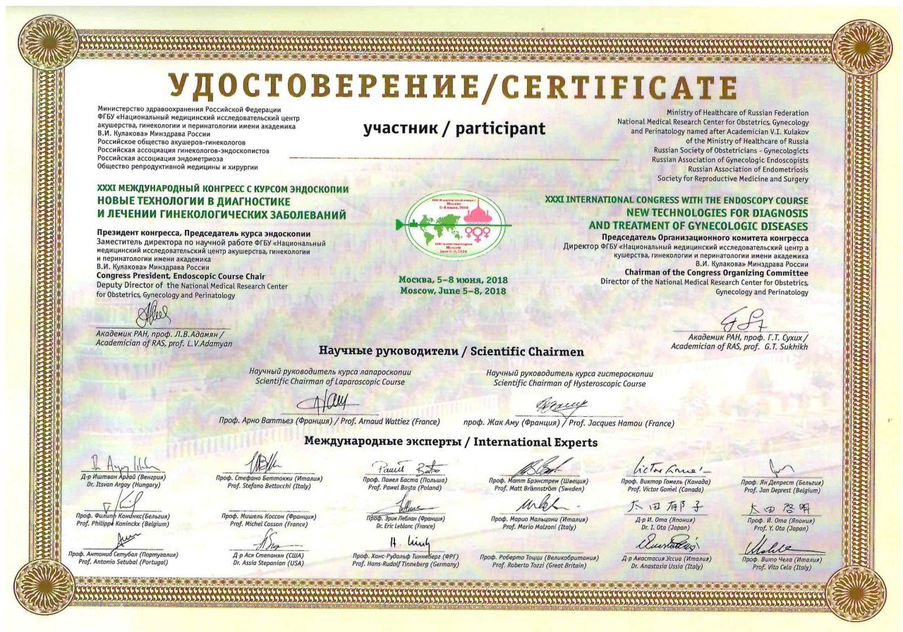 Диплом / сертификат