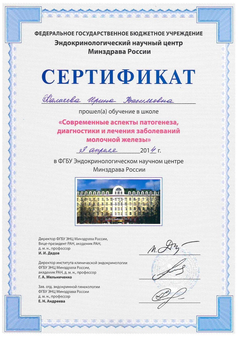 Диплом / сертификат