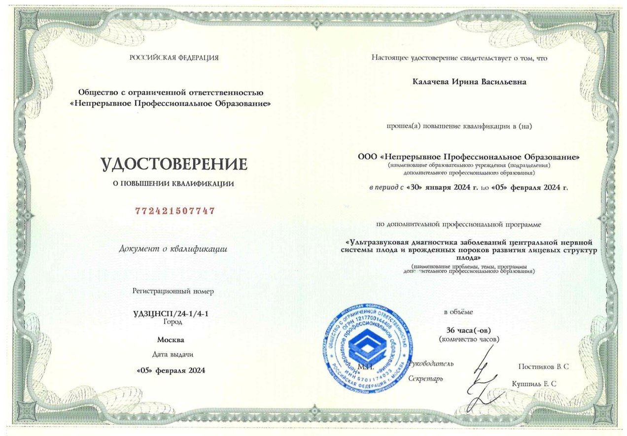 Диплом / сертификат
