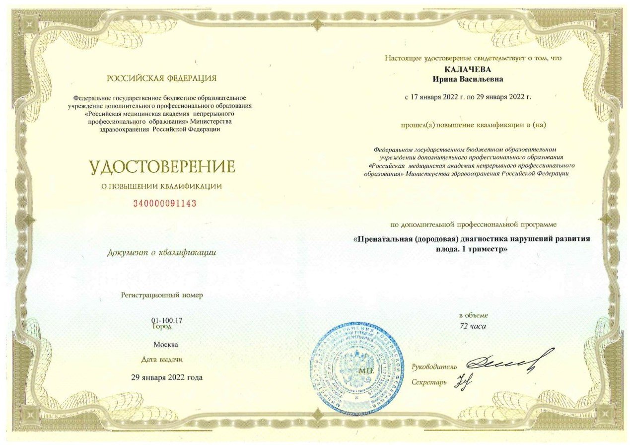 Диплом / сертификат